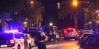 ესპანეთის ხელისუფლებამ რუს ოლიგარქს იახტა ჩამოართვა ესპანიის პოლიცია