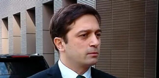 მინდა ემიგრანტები ჩამოვიდნენ ცხოვრების ღირსეული პირობები ჰქონდეთ – ლევან იოსელიანი